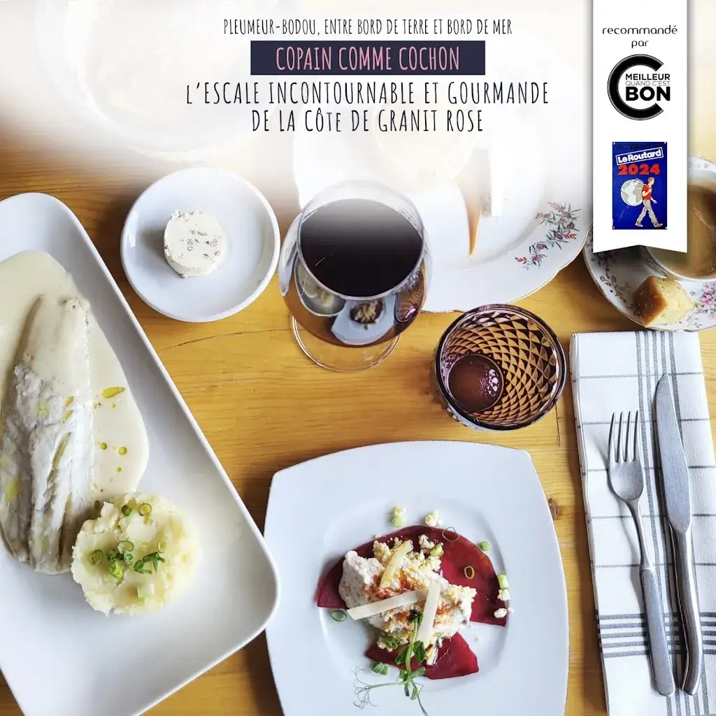 Copains comme cochon_Pleumeur-Bodou_slider_image_3