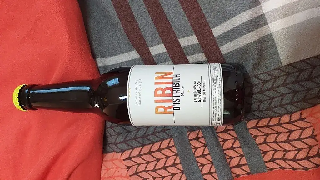 Sylvie Chailly_D'istribilh_Plouider_review