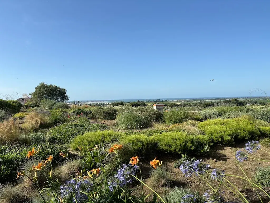 Patrick Le Pape_Hôtel Spa La Butte Plouider_Plouider_review