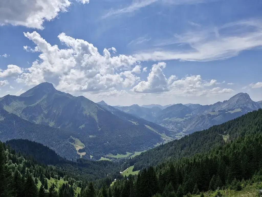 Patricia LANSMAN_Châlets du Mouet_Chapelle-d'Abondance_review