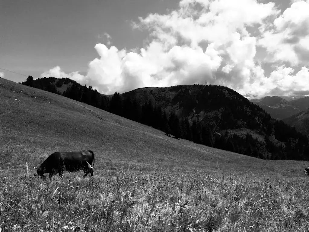 Matthieu Blondel_Châlets du Mouet_Chapelle-d'Abondance_review