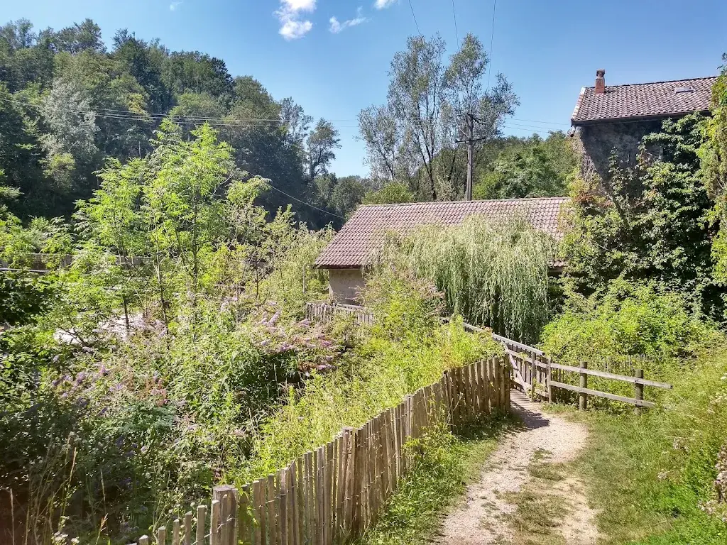 Micha Verbeek_Les Pertes de la Valserine_01200_recensione