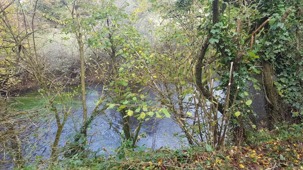 Restaurant Sainte Catherine_Plounévézel_slider_image_3