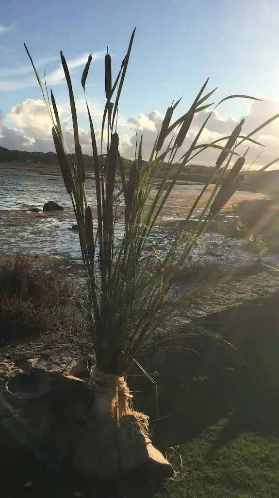 Debbie L_Les Voiles l Baie de Quiberon_Plouharnel_Bewertung