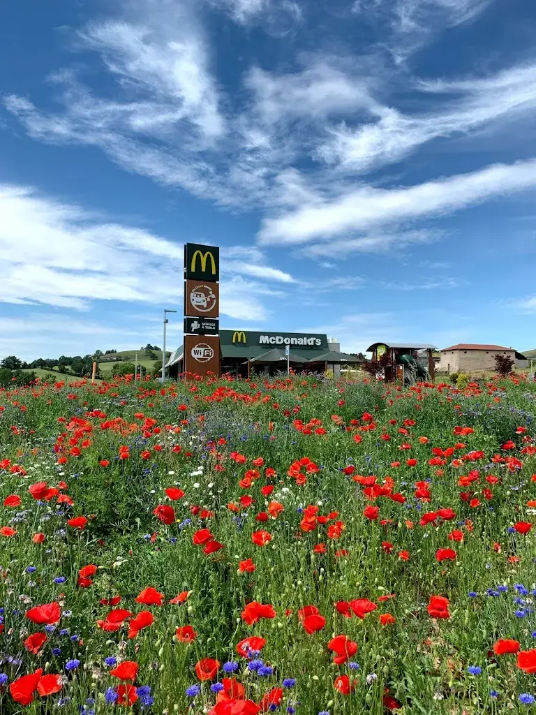 McDonald's_Thizy-les-Bourgs_slider_image_3
