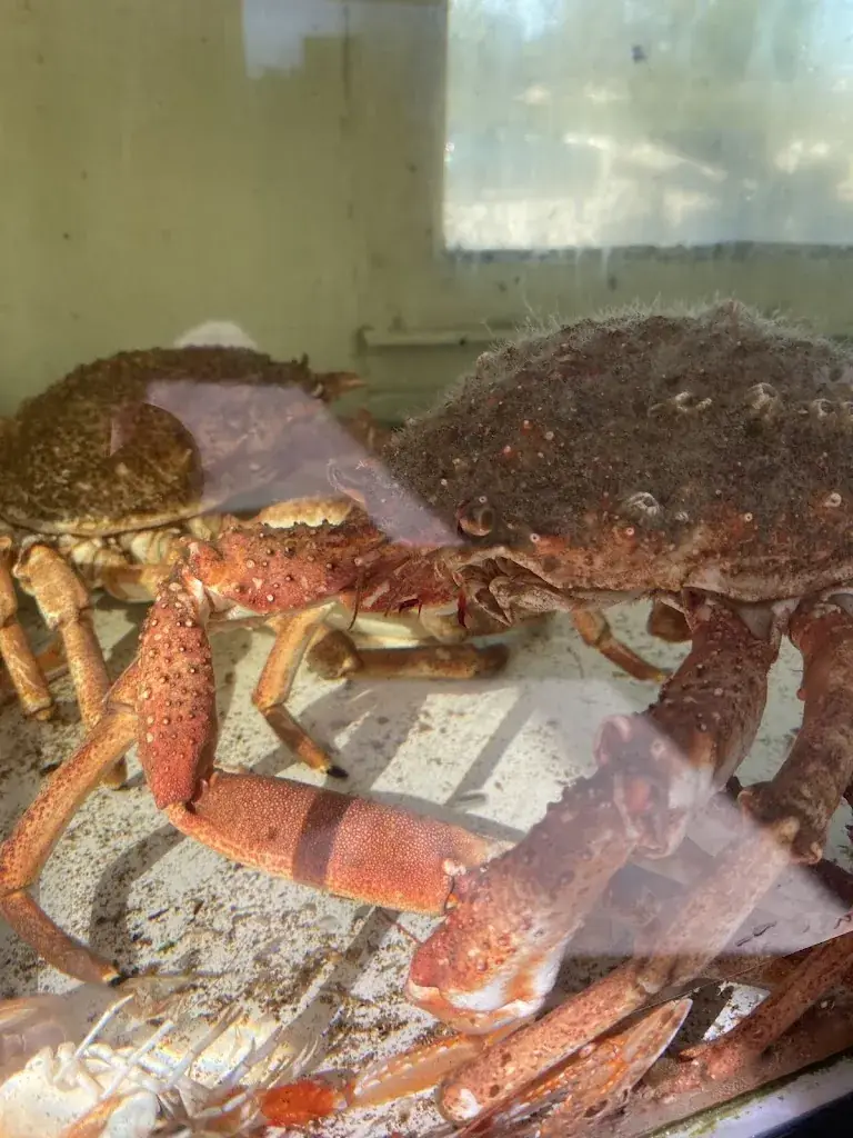 Menu_Ty Huitres - degustation_Carnac_image_9