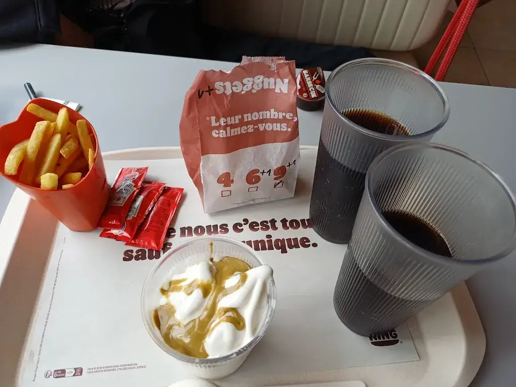 Cat ROSSI_Burger King_Ploumagoar_review