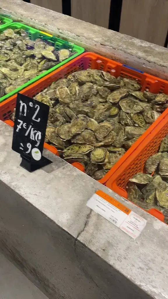 Maison LEGRIS_Plouguerneau_slider_image_2