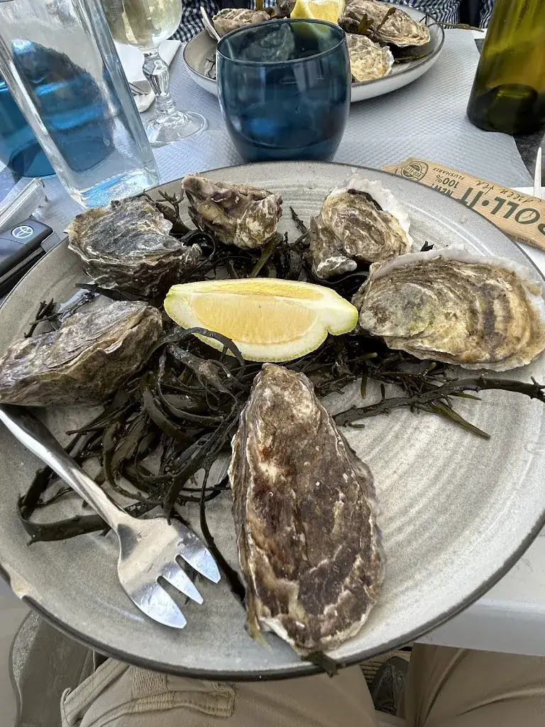 Simon Tempest Brown_L ECAILLER DES ABERS_Landéda_recensione