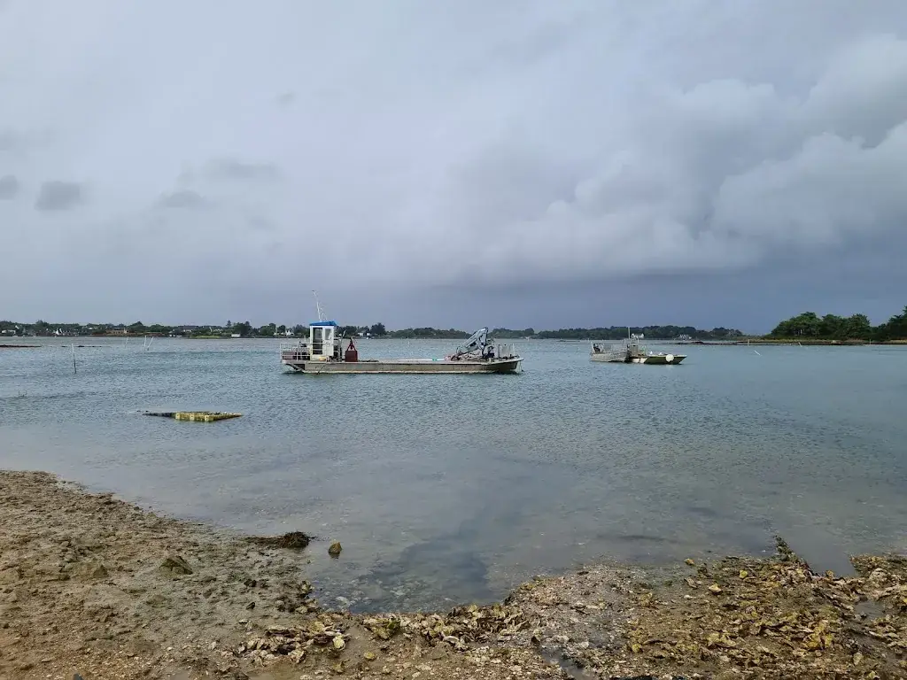 Ekaterina Shendrik_Huîtres Leneveu - Dégustation Ria d'Etel_Plouhinec_review