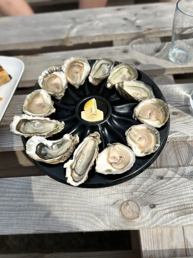 Leslie_Huîtres Leneveu - Dégustation Ria d'Etel_Plouhinec_review