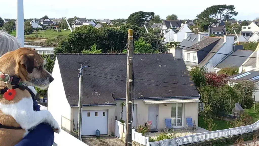 Caio The Cymro Evans_American's Snack_Plouhinec_review