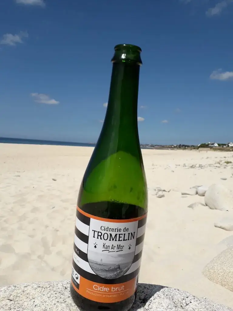 Menu_Plage de Mesperleuc_Plouhinec_image_2