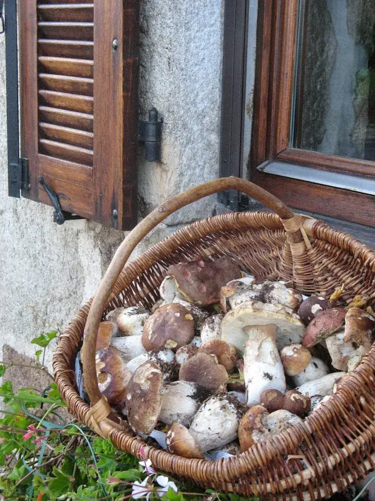 Ferme Auberge Linossier_Burdignes_slider_image_2