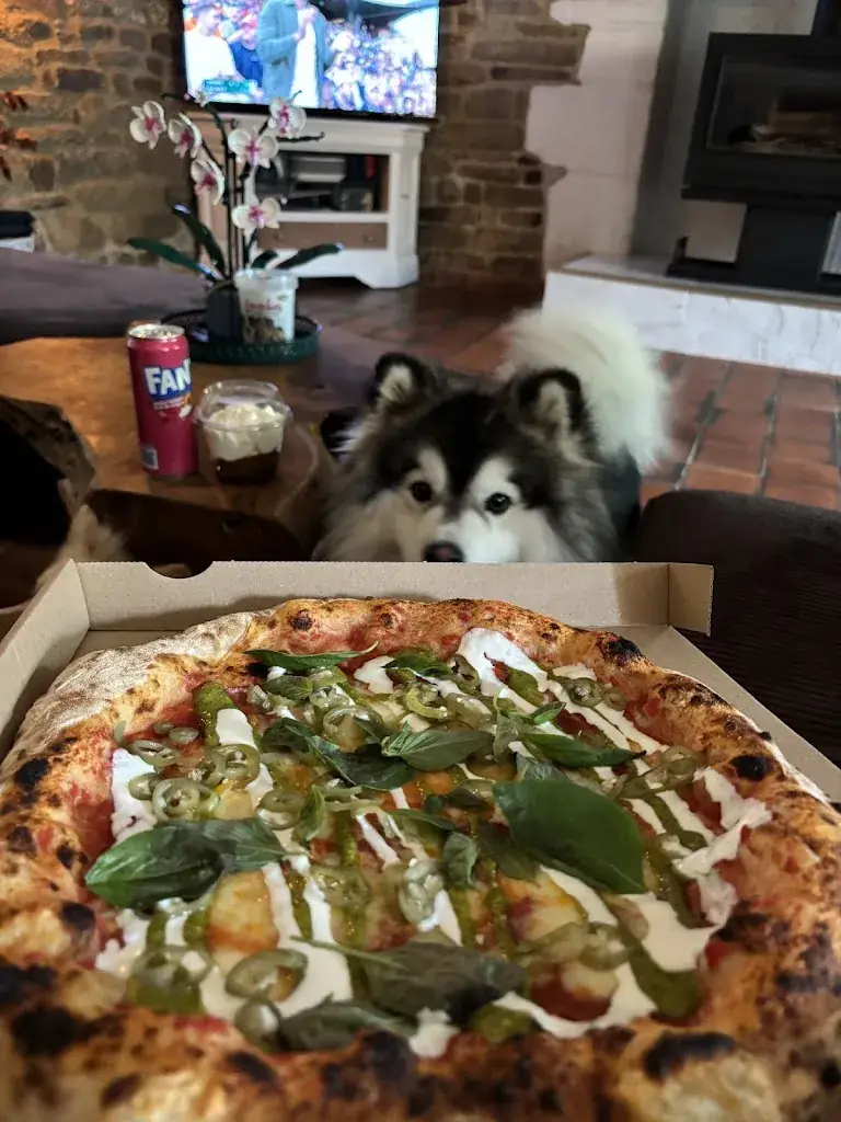 Manon Caron_Meleciano_Plumelec_review