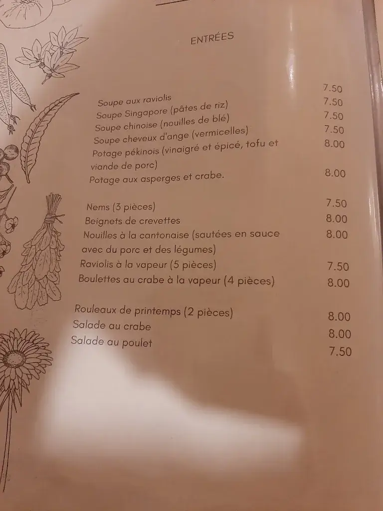Menu_Restaurant Chinois Le Singapore_Sainte-Anne-d'Auray_image_2