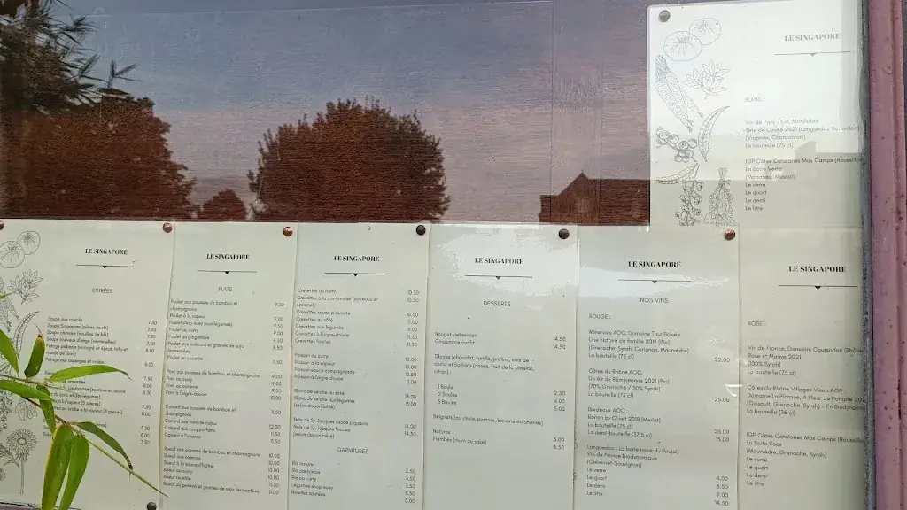 Menu_Restaurant Chinois Le Singapore_Sainte-Anne-d'Auray_image_3