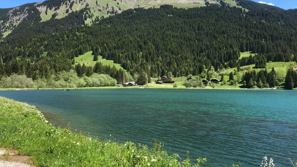 Bar-restaurant chez Roland_Abondance_slider_image_3