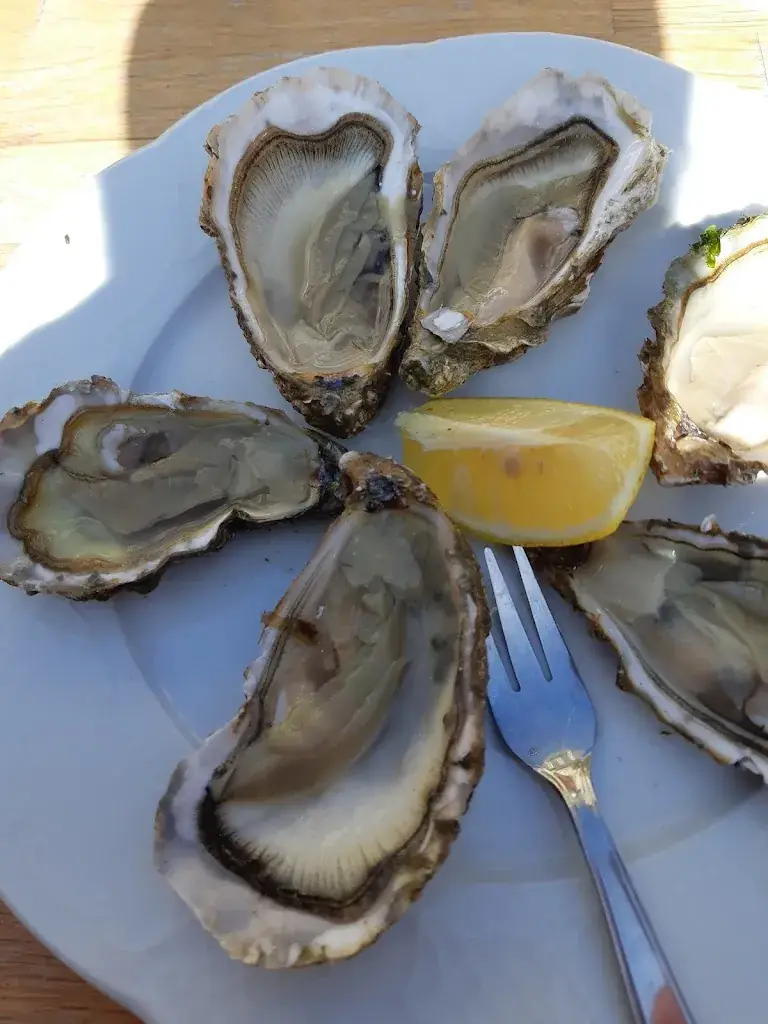 Menu_KAV_Auray_immagine_7