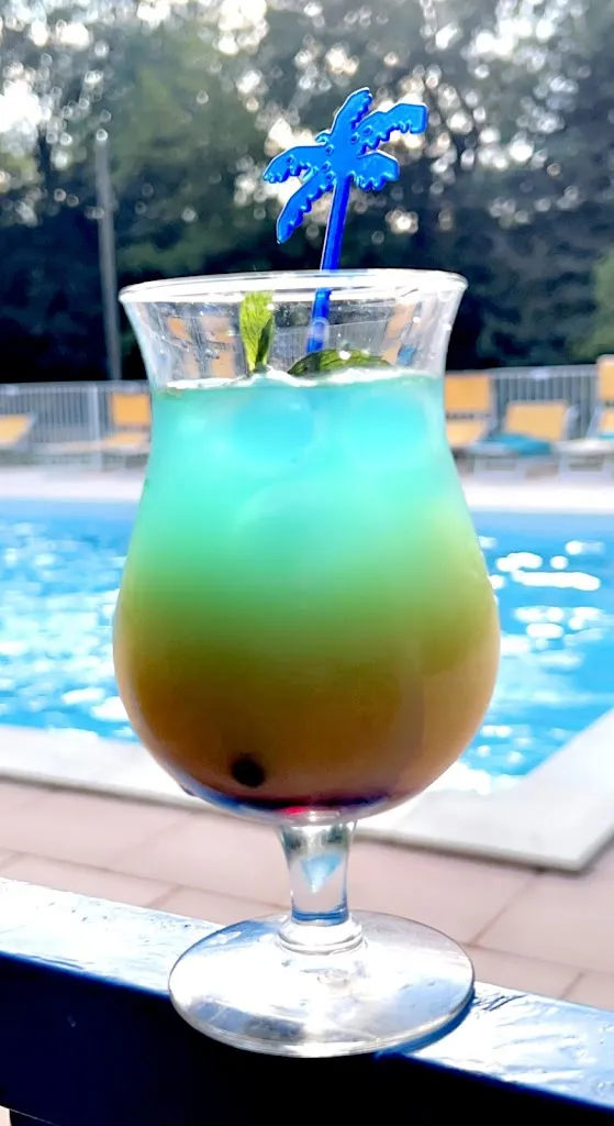 Menu_Restaurant La Petite Curière_Bourg-Saint-Andéol_immagine_5