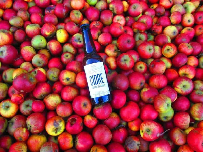 Diboiloré Cave & Bar Pordic_Pordic_slider_image_2