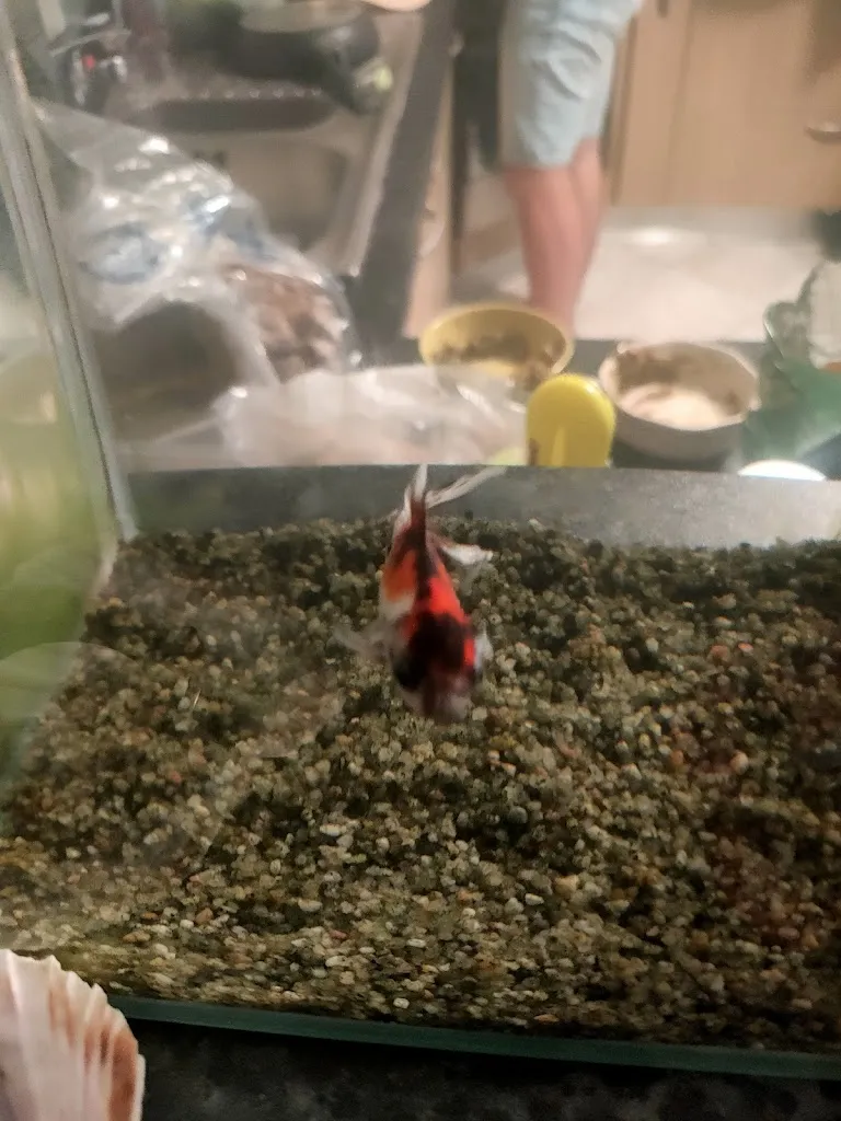 Chez Quentin_Querrien_slider_image_2