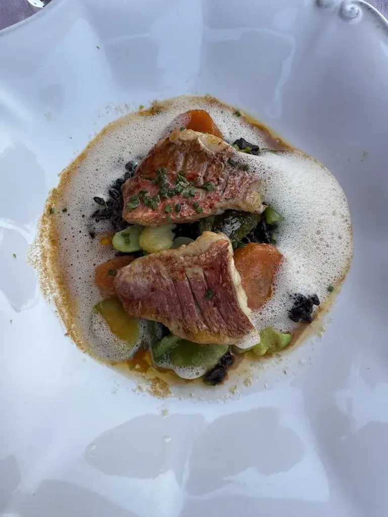 Dominique bellay_La Cigale Egarée_Quimperlé_review