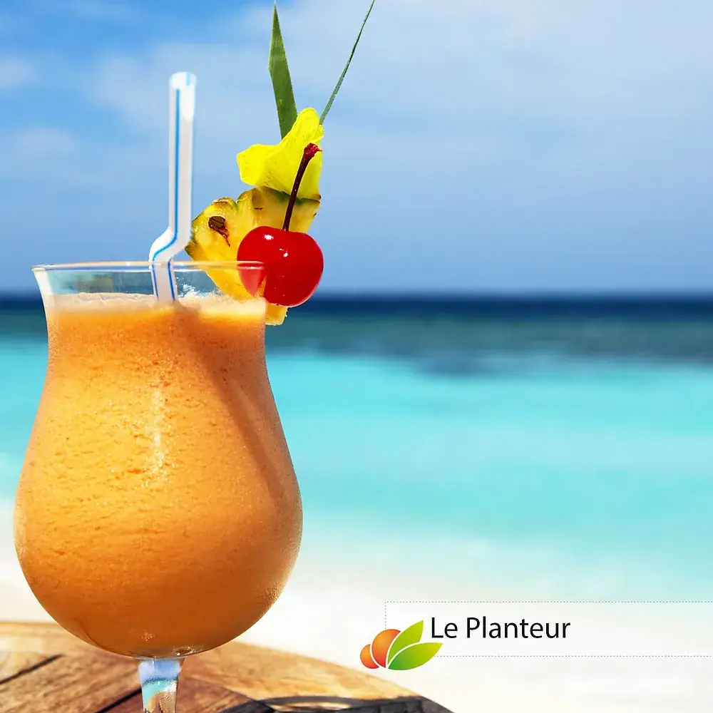 Menu_LA P'TITE CASE_Douarnenez_image_1