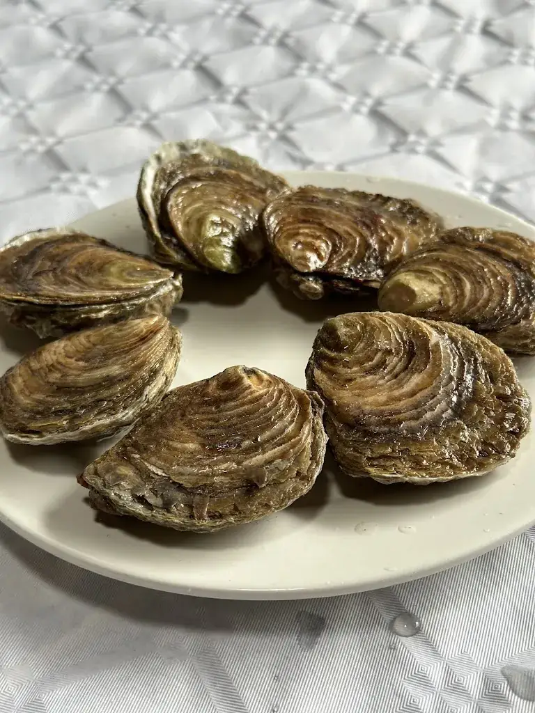 Mike_Huîtrières du Château de Bélon_Riec-sur-Bélon_review