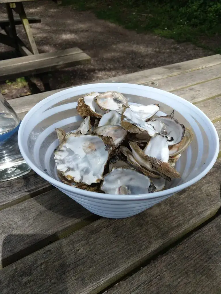 Jessica Bochenek_Huîtrières du Château de Bélon_Riec-sur-Bélon_review