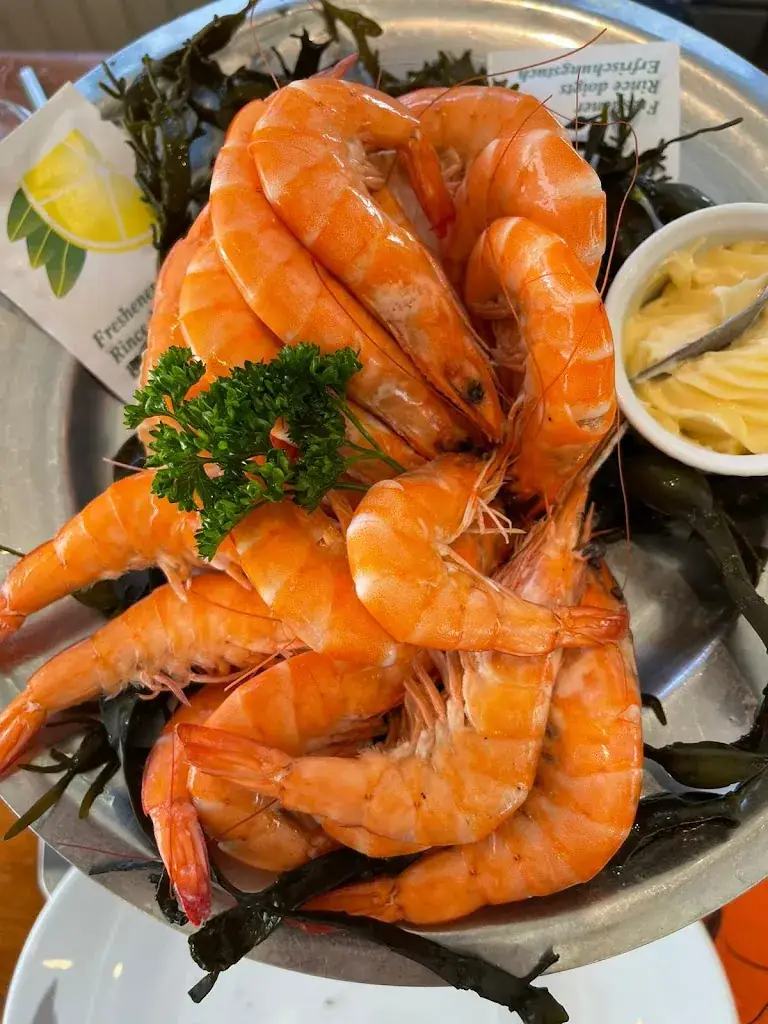 Musikerin_Les viviers du Bélon_Riec-sur-Bélon_review