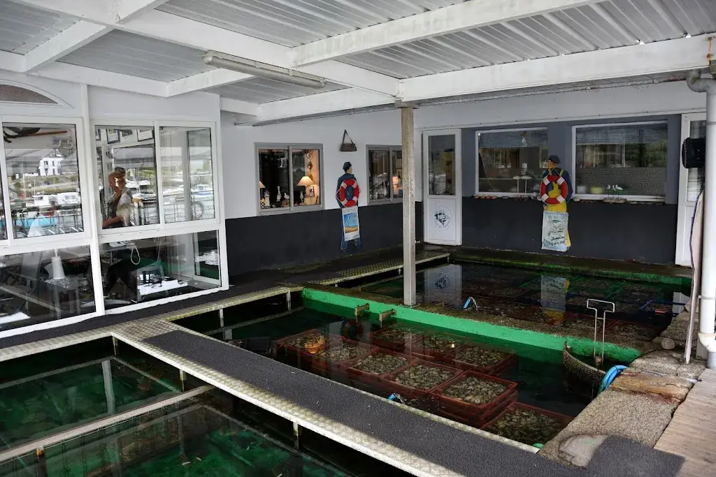 Captain Arawak_Les viviers du Bélon_Riec-sur-Bélon_review