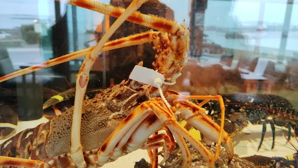 Menu_Le Bellevue_Roscoff_image_5