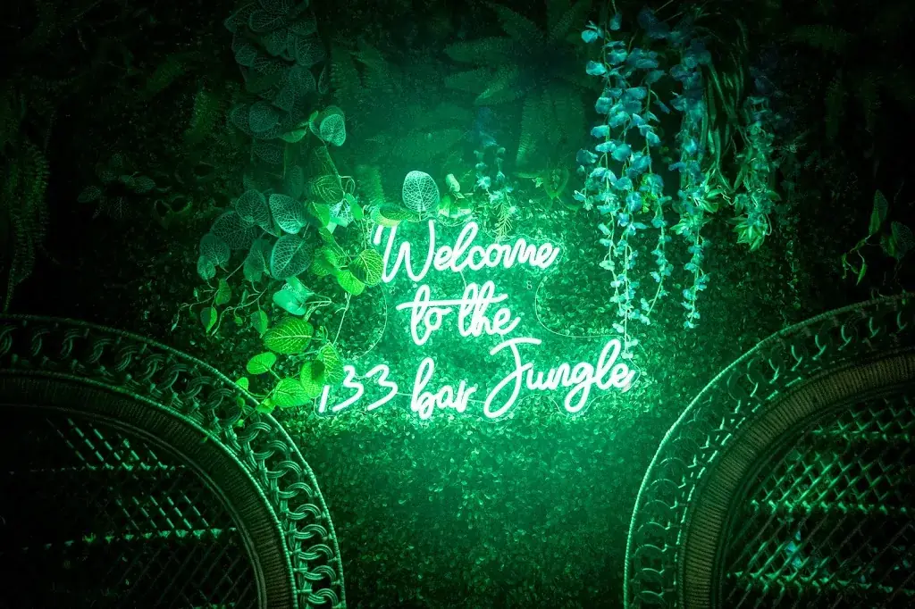 133 | Bar Brasserie Jungle & plage ristorante a Saint-Étienne-de-Saint-Geoirs