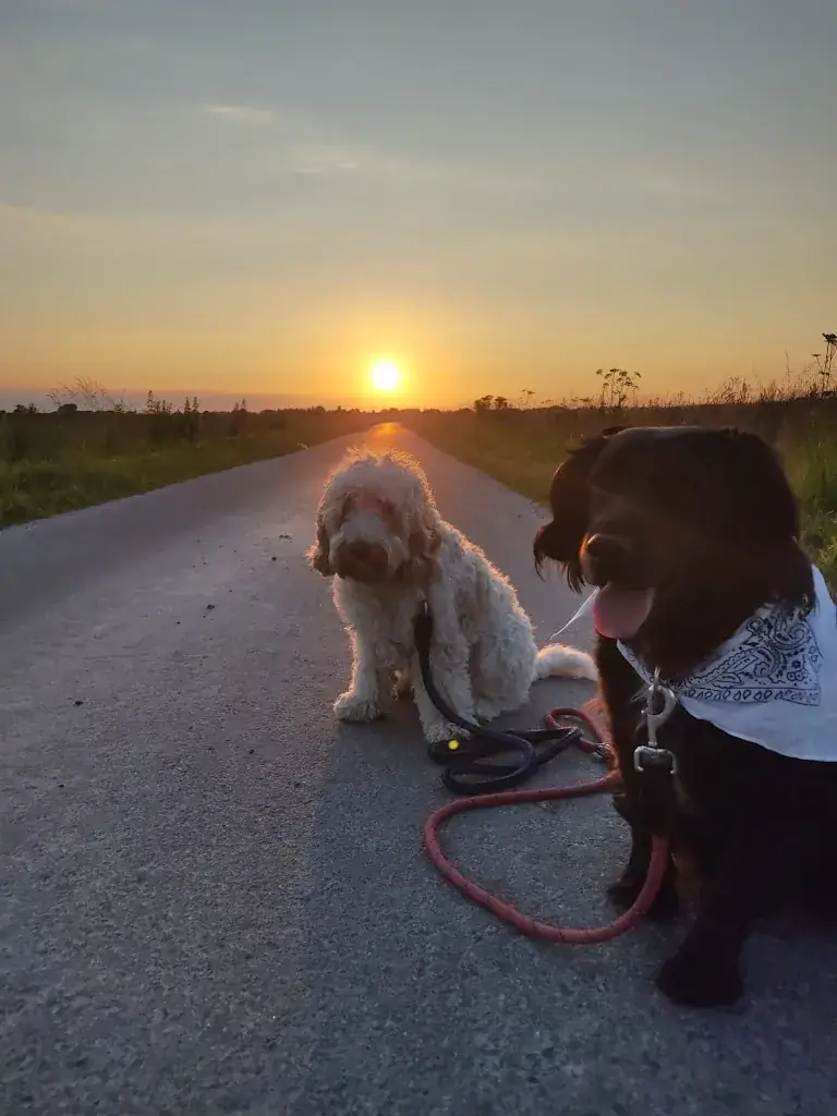 Jane Lewis_Camping Les Couesnons_Roz-sur-Couesnon_review