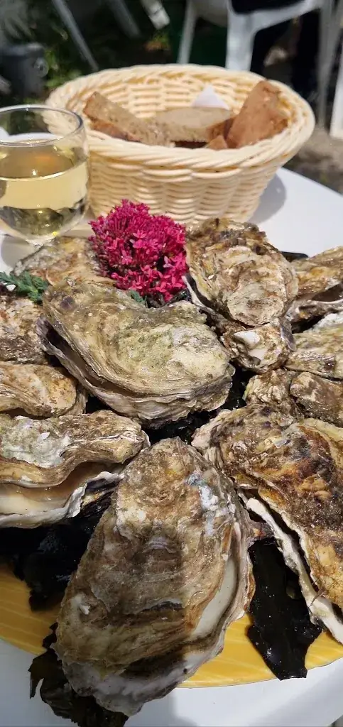 Les Parcs Du Passage_Saint-Armel_slider_image_2