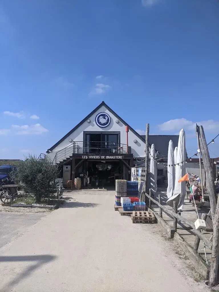 Cédric _Les Viviers de Banastère - Vente & dégustation fruits de mer_Tour-du-Parc_review