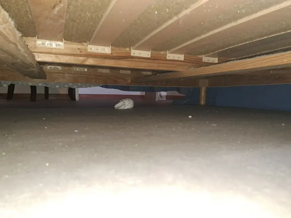 Clément Verger_Suzanne City_Saint-Donan_review