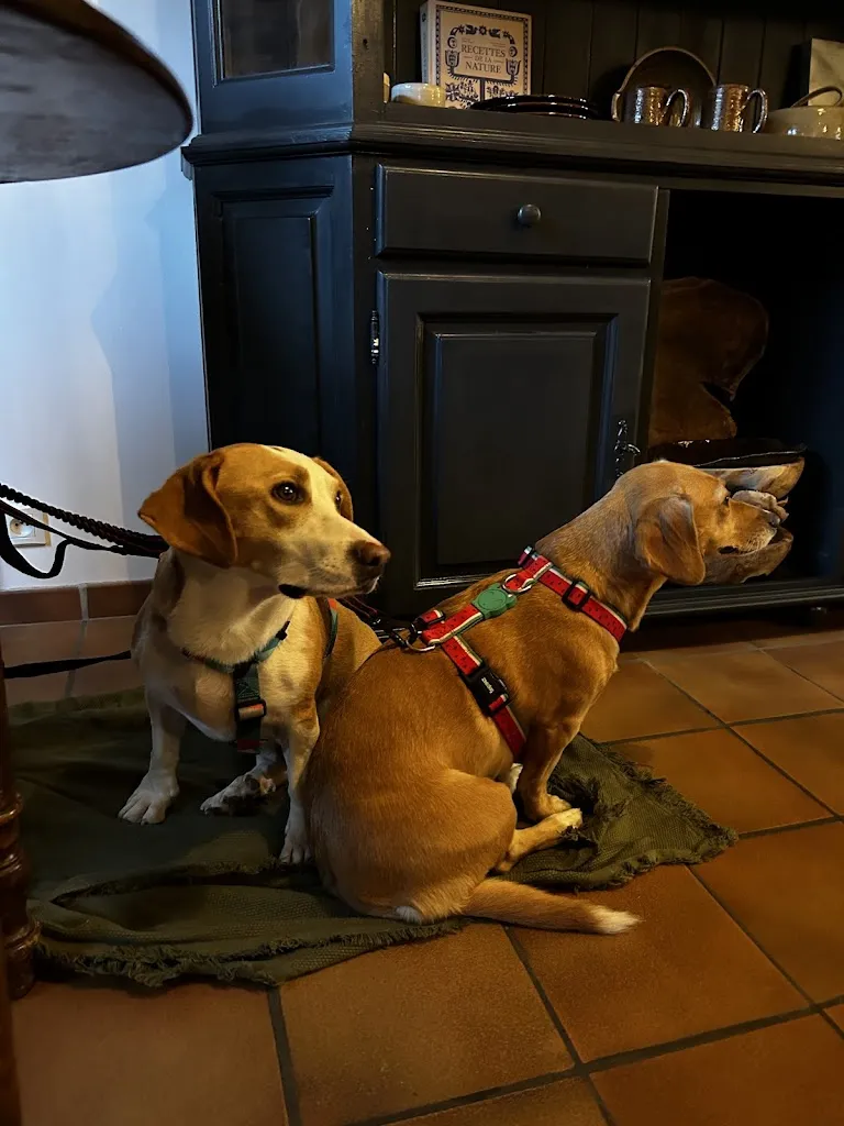 Maria Constantinescu_Auberge les filles en bottes_Saint-Georges-de-Reintembault_review