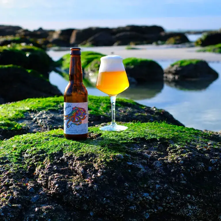 brasserie de la pieuvre - bière artisanale restaurant in Saint-Évarzec