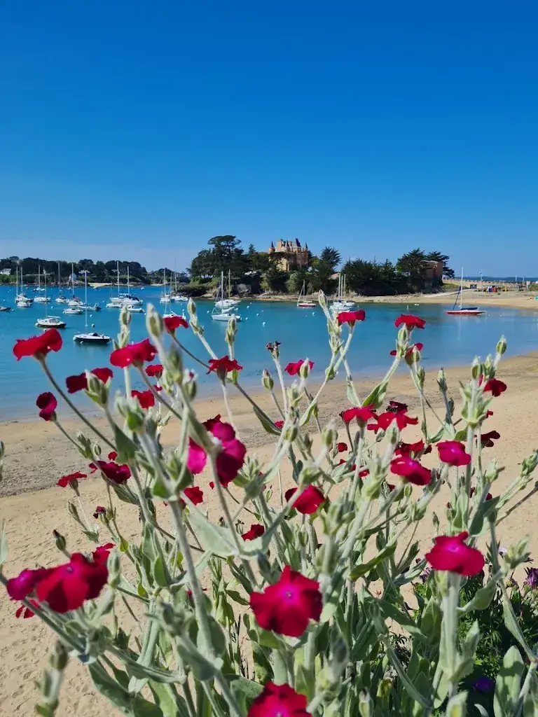 Petit loup Petit loup_Le Restaurant Le Nessay_Saint-Briac-sur-Mer_avis