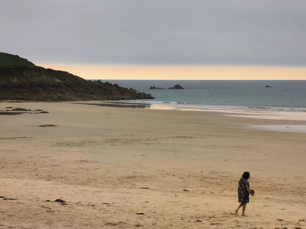 Zaniewski Michel_Petite Nature_Saint-Briac-sur-Mer_review