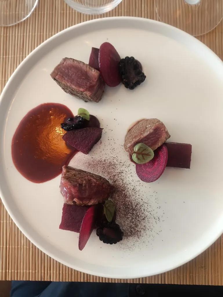 Sophie Rome_Daméa _Saint-Lunaire_review