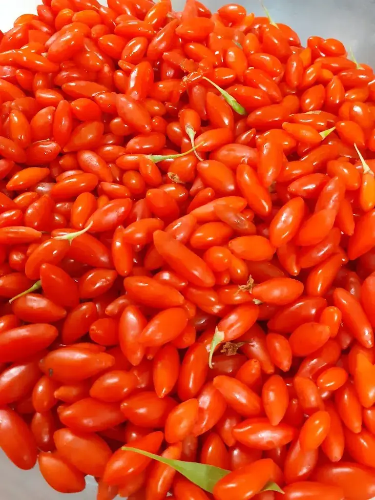 Ty coude_Saint-Nicolas-du-Pélem_slider_image_2