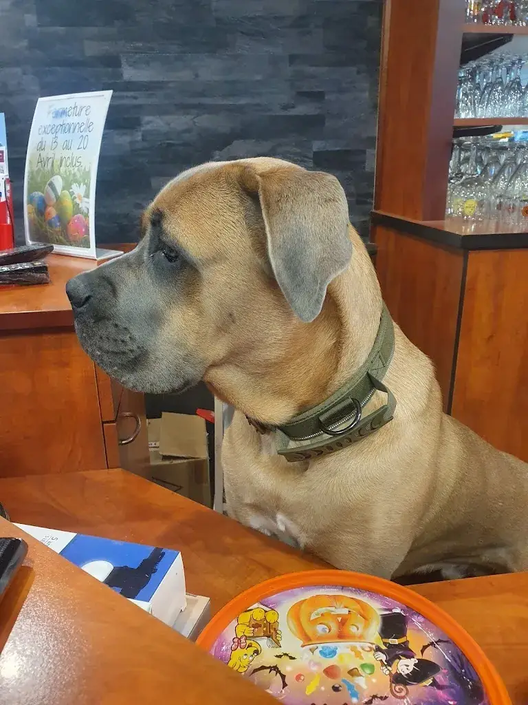 Kenshironoken_Chez Nous_Saint-Perreux_review