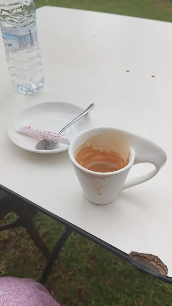 Menu_Aux Pigeons Blancs_Saint-Jacques-de-la-Lande_immagine_6