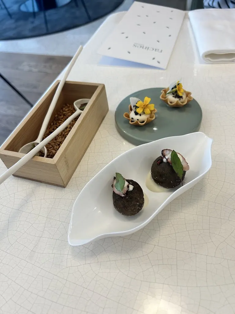 Rogier Engelen_Racines_Rennes_review