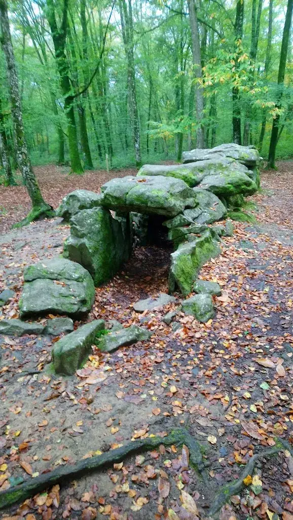 Alexandre ruiz_La Maison des Fées_Mesnil-Roc'h_review