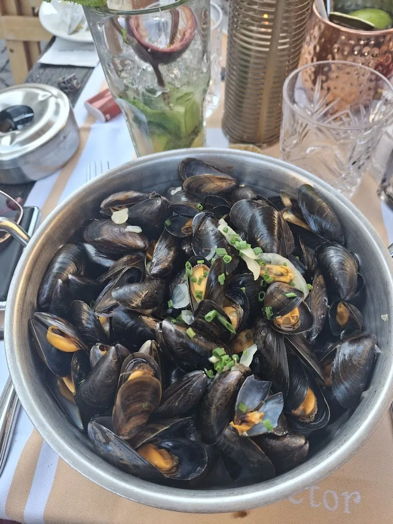 Wiktoria Pysiewicz_Brasserie du Lion D'Or_Saint-Malo_review