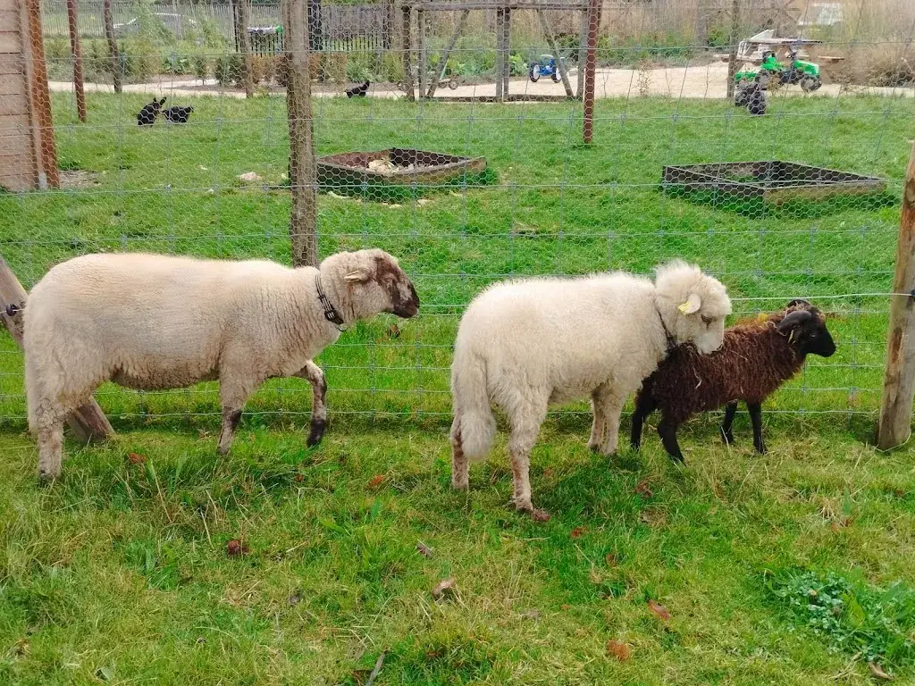 Les Jardins de l'Éveil_Saint-Thonan_slider_image_3